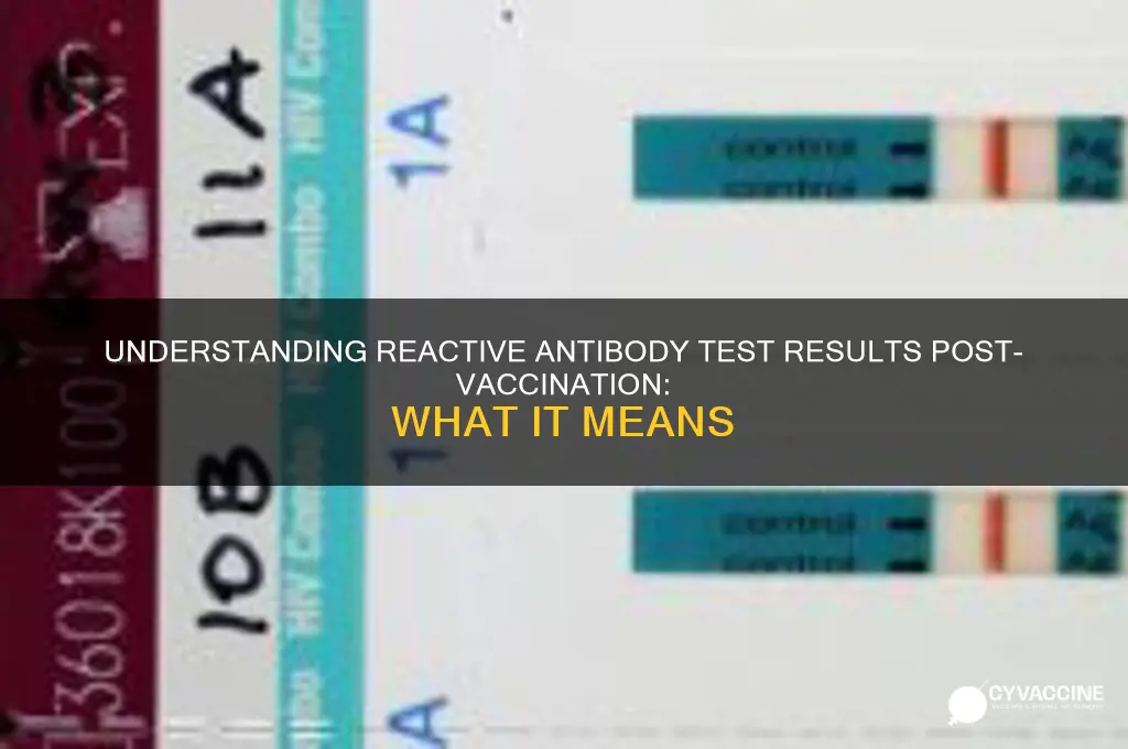 what does a reactive antibody test mean after vaccine
