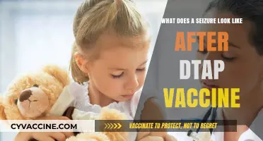 Understanding Seizure Symptoms Post-DTaP Vaccination: What to Look For