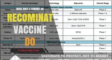 Understanding Subunit and Recombinant Vaccines: How They Protect Against Diseases