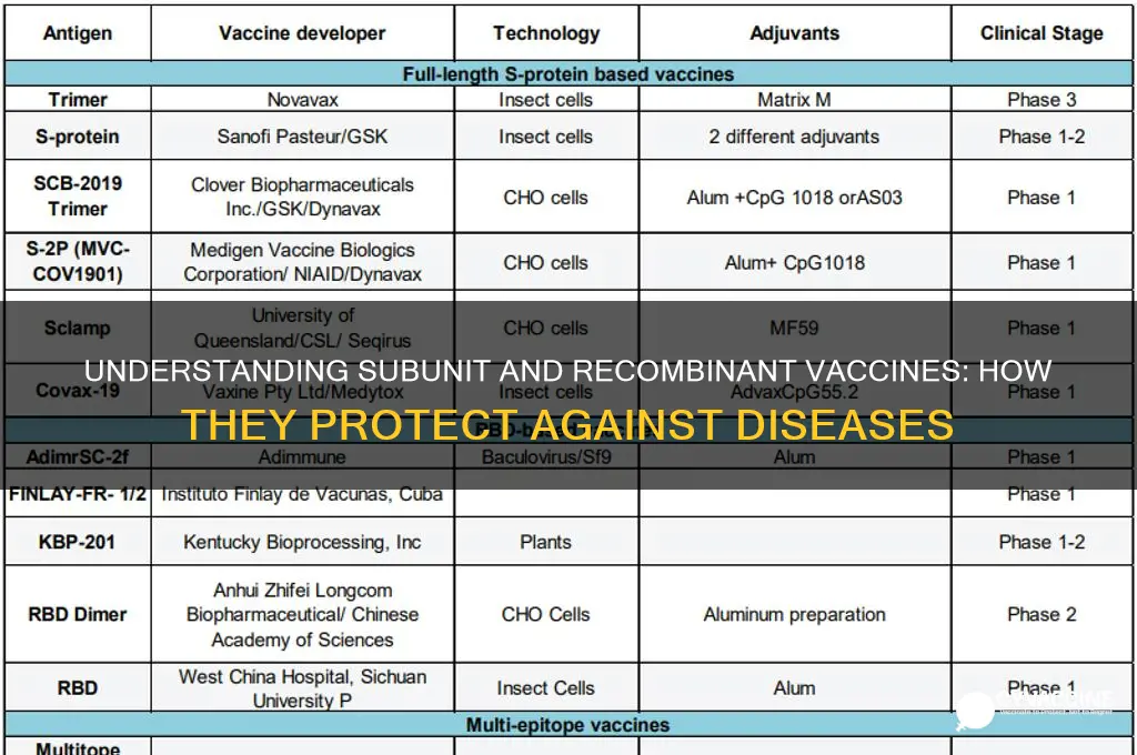 what does a subunit or recominat vaccine do
