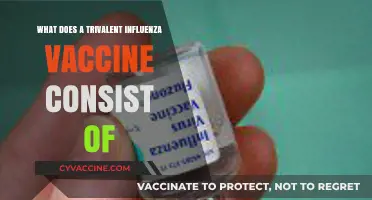 Understanding Trivalent Influenza Vaccine Composition and Its Key Components