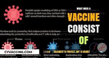Understanding Vaccines: Key Components and Their Essential Functions Explained
