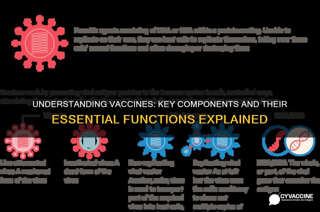what does a vaccine consist of