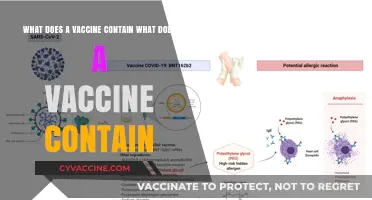 Understanding Vaccine Components: What’s Inside and Why It Matters