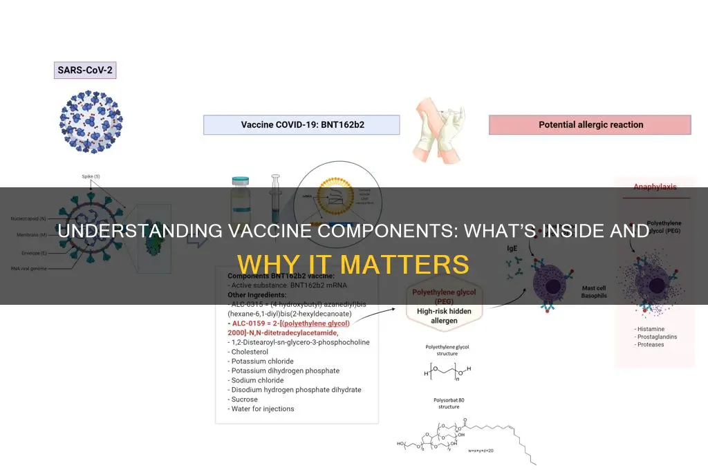 what does a vaccine contain what does a vaccine contain