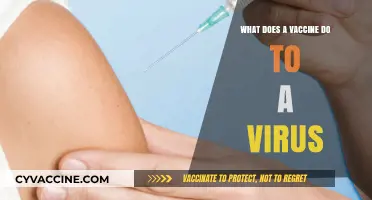How Vaccines Disarm Viruses: A Deep Dive into Immunization