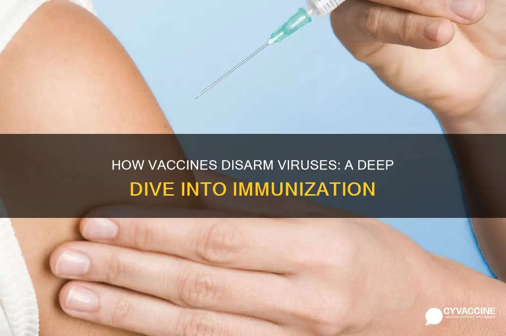 what does a vaccine do to a virus