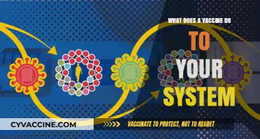 How Vaccines Strengthen Your Immune System: A Comprehensive Guide