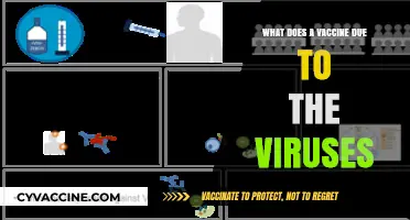 How Vaccines Combat Viruses: Understanding Their Role in Immunity