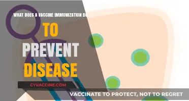 How Vaccine Immunization Protects Your Body Against Diseases