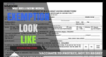 Understanding Vaccine Medical Exemptions: What They Look Like and Why