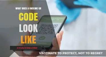 What Does a Vaccine QR Code Look Like? A Visual Guide