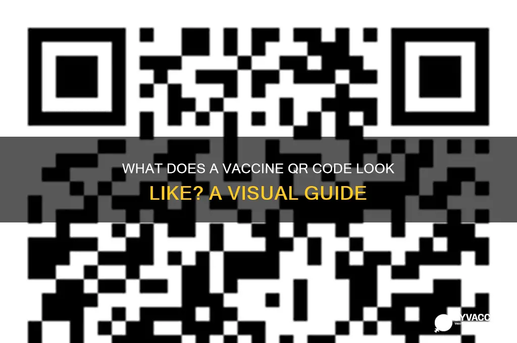 what does a vaccine qr code look like