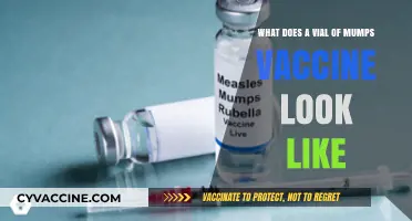 Mumps Vaccine Vial: Appearance, Packaging, and What to Expect