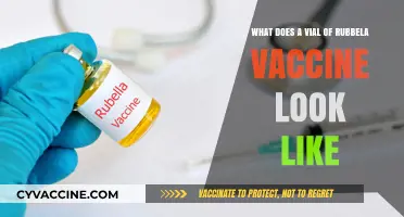 What Rubella Vaccine Vials Look Like: A Visual Guide