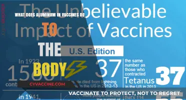Aluminum in Vaccines: Understanding Its Role and Effects on the Body