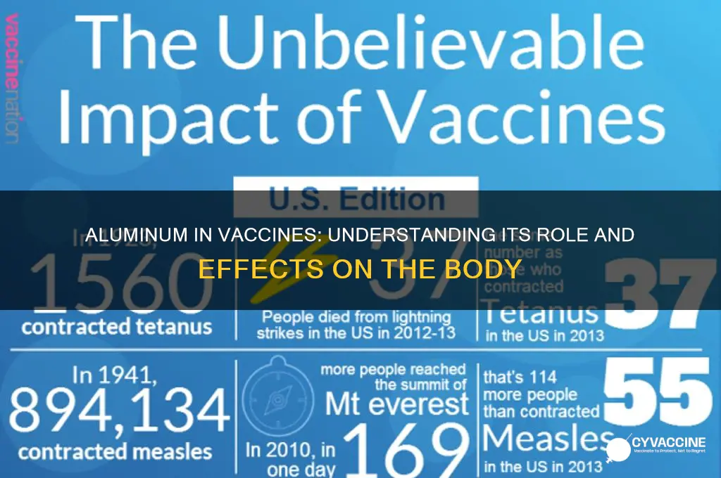 what does aluminum in vaccines do to the body