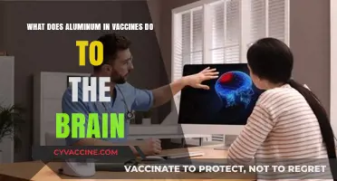 Aluminum in Vaccines: Brain Effects and Safety Concerns Explained
