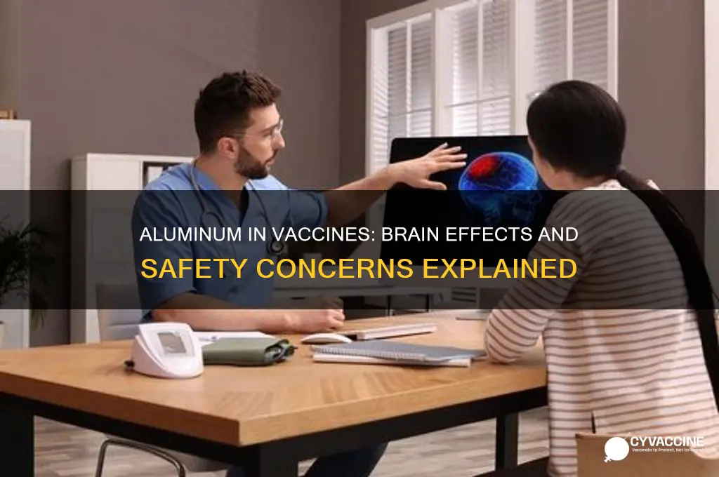 what does aluminum in vaccines do to the brain