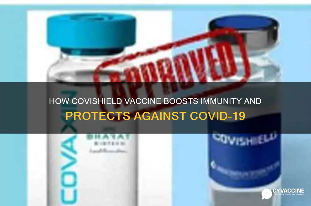 what does covishield vaccine do in our body