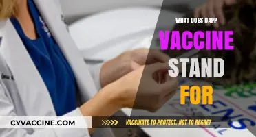 Understanding the DApp Vaccine: Meaning, Purpose, and Importance Explained