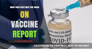 Understanding 'Date Next Due' on Your Vaccine Report: A Quick Guide