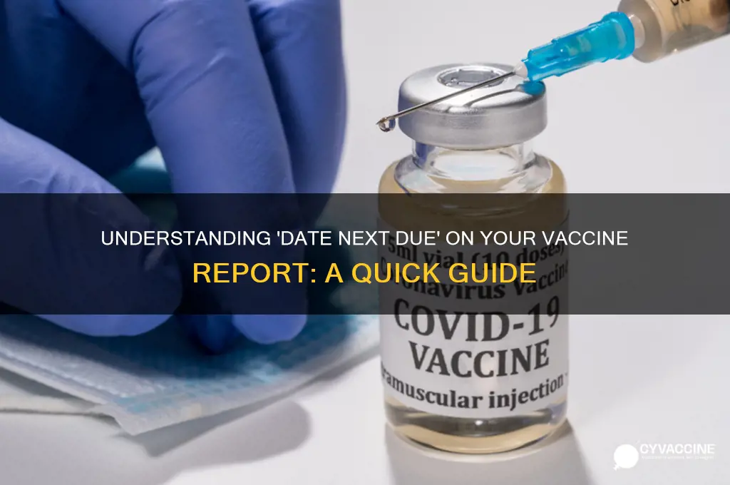 what does date next due mean on vaccine report