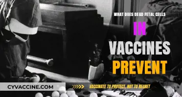 Debunking Myths: The Role of Fetal Cells in Vaccine Development
