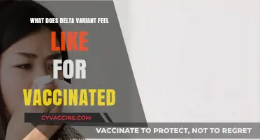 Delta Variant Symptoms: What Vaccinated Individuals Should Expect