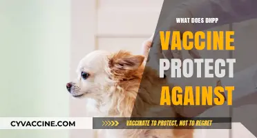 Understanding DHPP Vaccine: Diseases It Protects Against in Dogs
