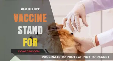Understanding DHPP Vaccine: Meaning, Components, and Importance for Dogs