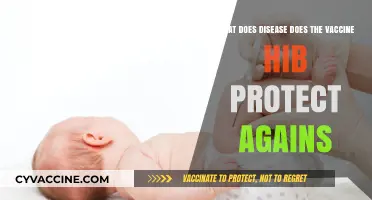 Understanding Hib Vaccine: Diseases It Protects Against and Importance