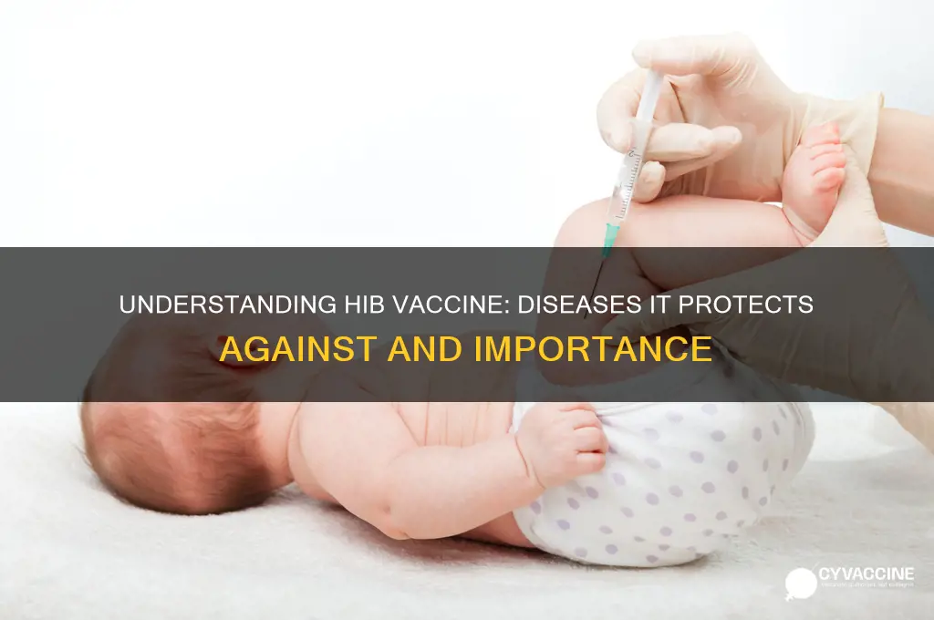 what does disease does the vaccine hib protect agains