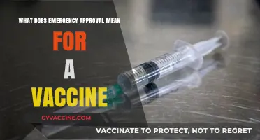 Emergency Approval for Vaccines: What It Means and Why It Matters