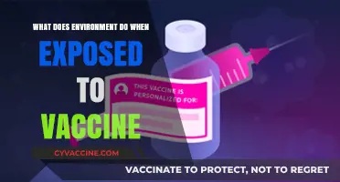 How Vaccines Interact with the Environment: Impacts and Insights