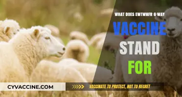 Understanding the Ewtwnfr 6-Way Vaccine: Meaning and Importance Explained