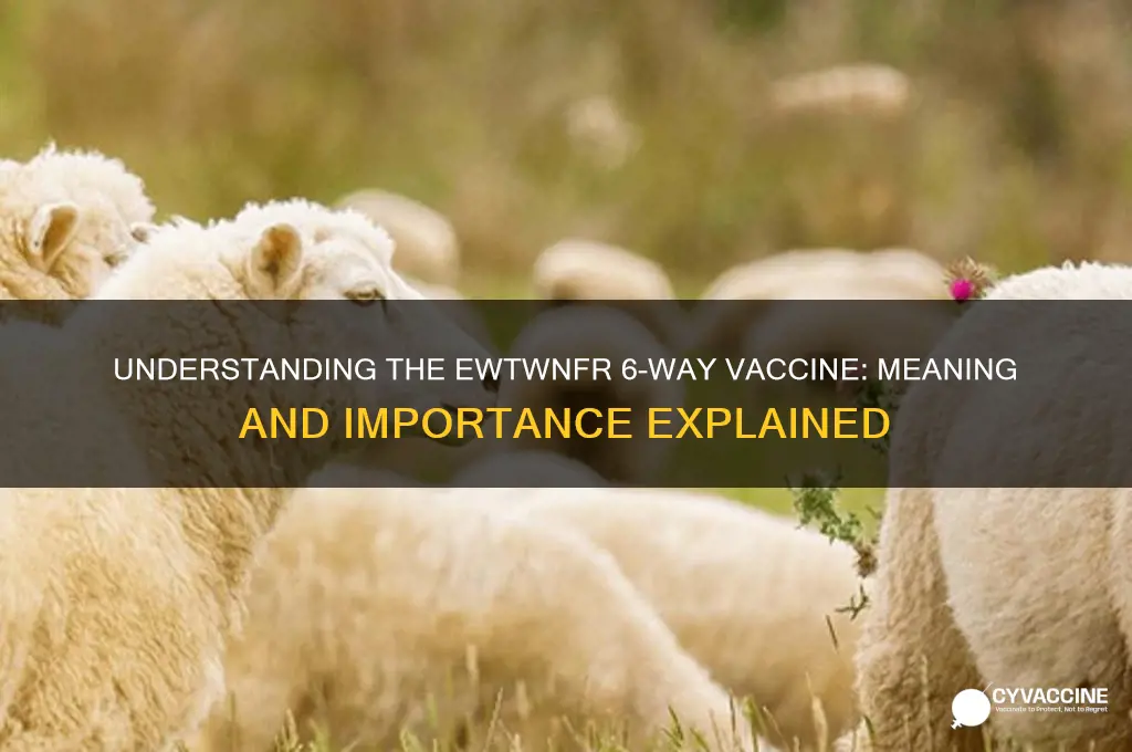 what does ewtwnfr 6 way vaccine stand for