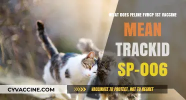 Understanding Feline FVRC-P: Decoding Your Cat's First Vaccine