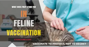 Understanding Feline Vaccination: Decoding the Meaning of FRC in FRCp