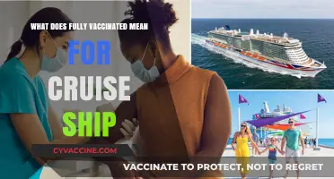 Fully Vaccinated on Cruise Ships: What It Means for Travelers