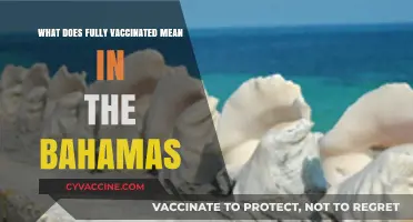Understanding Full Vaccination Status and Travel Requirements in The Bahamas