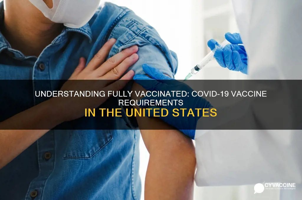 what does fully vaccinated mean in the us