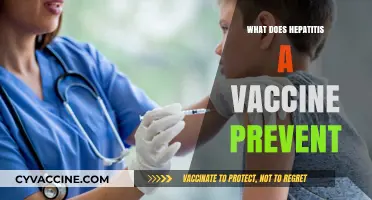 Hepatitis A Vaccine: Preventing Liver Infections and Ensuring Long-Term Health