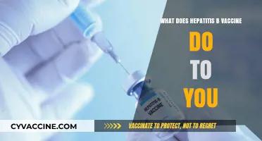 Hepatitis B Vaccine: Benefits, Side Effects, and Long-Term Protection Explained