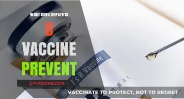 Hepatitis B Vaccine: Protecting Against Liver Infections and Complications