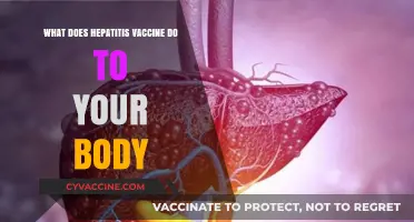 How the Hepatitis Vaccine Protects Your Liver and Boosts Immunity