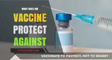 Understanding the Hib Vaccine: Diseases It Protects Against and Importance