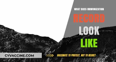 Understanding Your Immunization Record: A Visual Guide to Vaccination Documentation