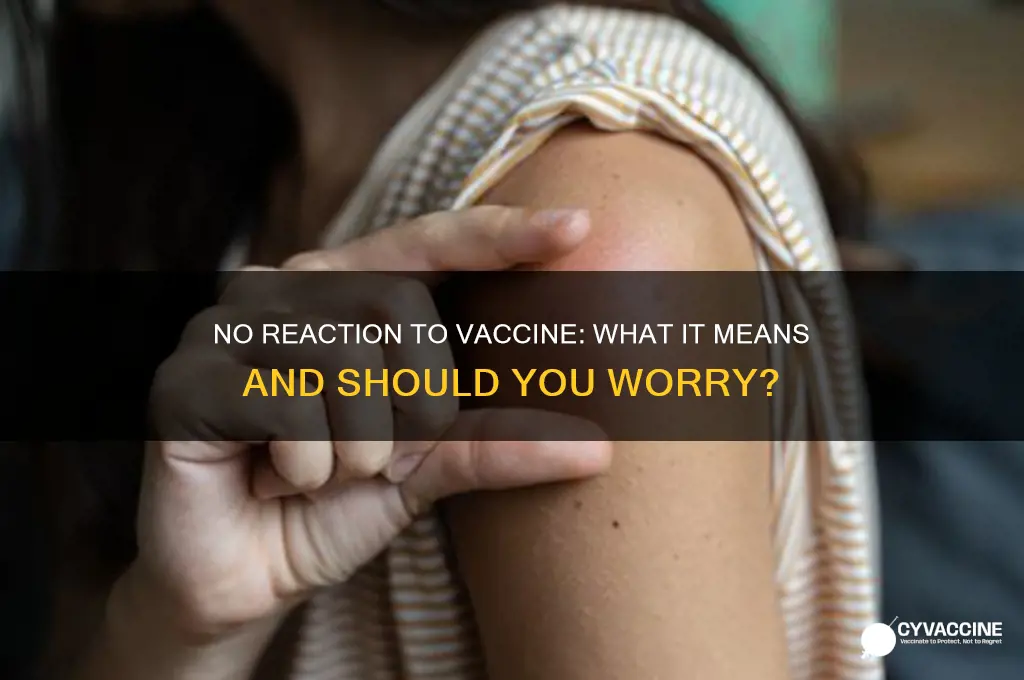 what does it mean if no reaction to vaccine