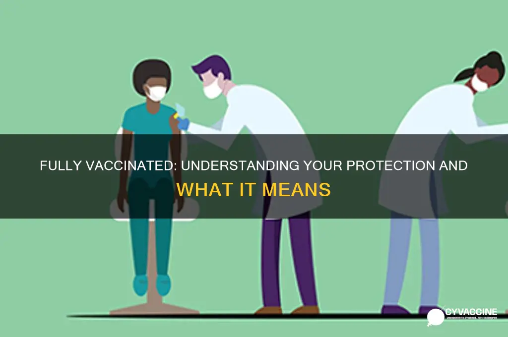 what does it mean if you are fully vaccinated